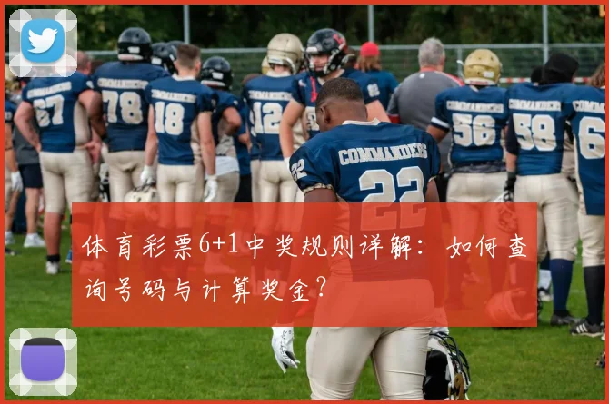 体育彩票6+1中奖规则详解：如何查询号码与计算奖金？